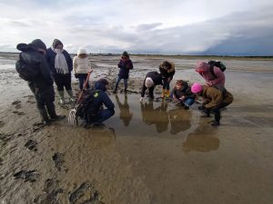 Take part in excursions that offer scientific relevance and infromal exchange. whether it is field work, lab visits, or somply exploring science in a new setting.